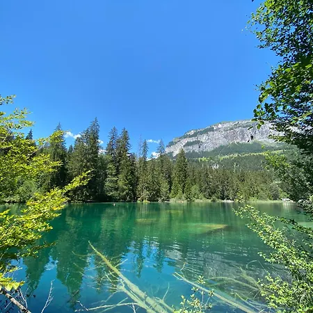 Casa Ansiel - 2.5 Am Sonnenhang Von *