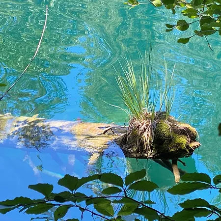 Casa Ansiel - 2.5 Am Sonnenhang Von Falera