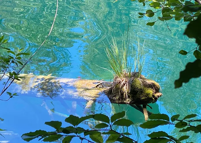 Casa Ansiel - 2.5 Am Sonnenhang Von Falera